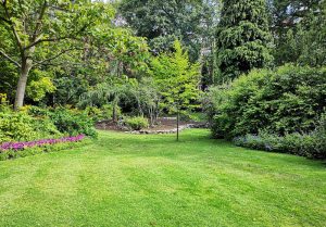Optimiser l'expérience du jardin à Boulogne-la-Grasse